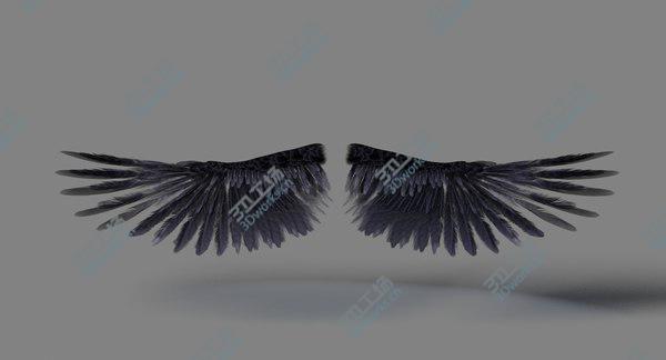 images/goods_img/20210312/Bird Wings Rigged/2.jpg